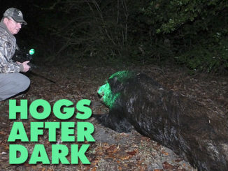 nocturnal hog hunting