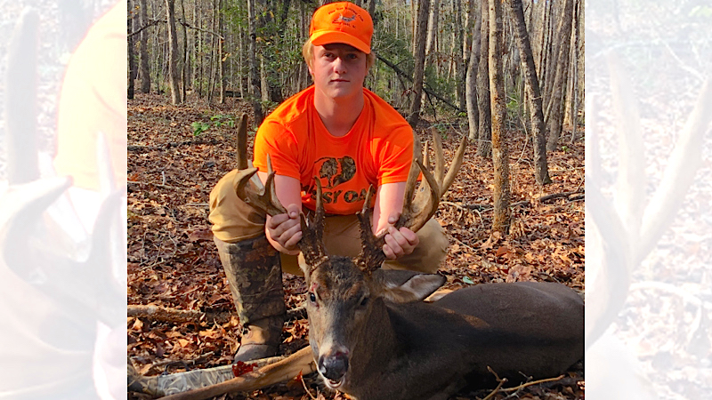 17-point buck
