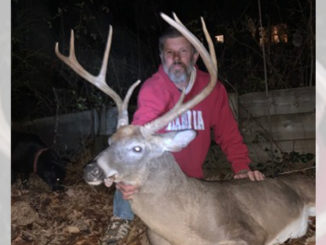 wide-racked buck