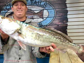 Speckled Trout Challenge