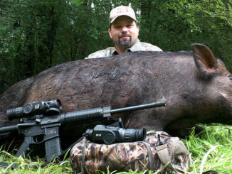 hog hunting