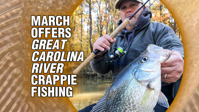 Crappie in rivers across the Carolinas can be exciting targets this month.