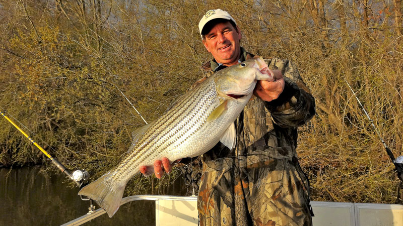 Santee Cooper lakes