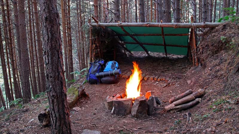 outdoor workshops