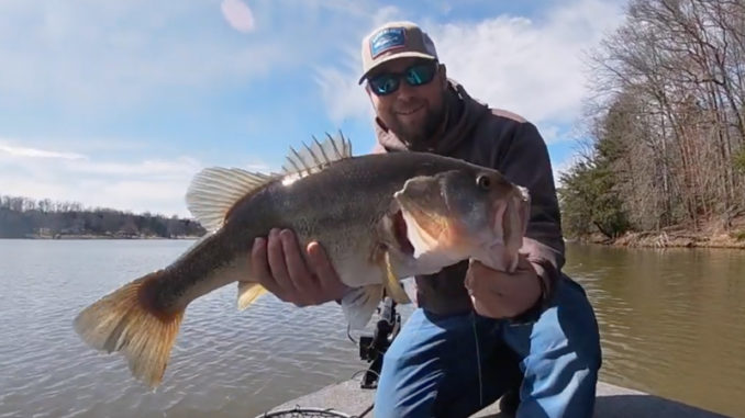10-pound bass