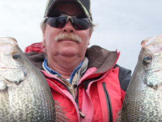 Kerr Lake crappie