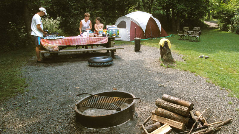 N.C. State Park