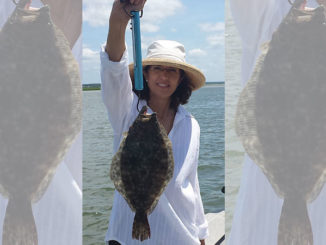flounder