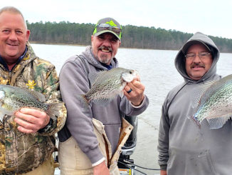 Jordan Lake crappie
