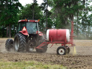 food plots