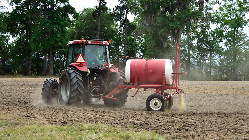 food plots