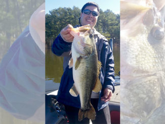 Shearon Harris bass