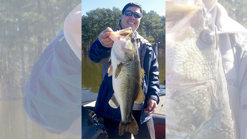 Shearon Harris bass