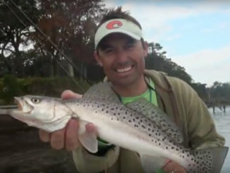 speckled trout
