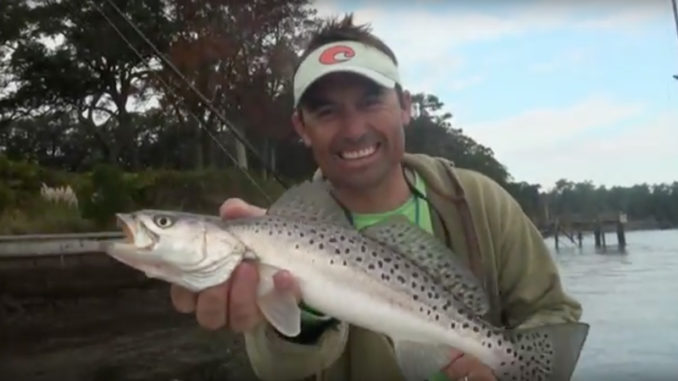 speckled trout