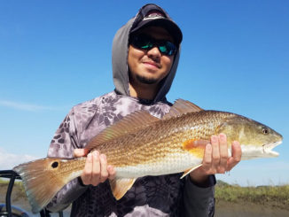 Charleston fishing report