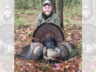 trophy turkey