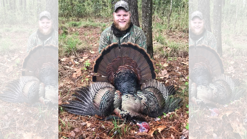 trophy turkey