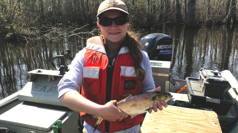 coastal rivers fishing report