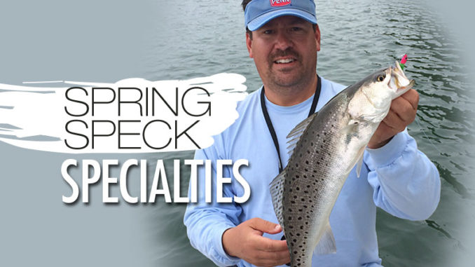 speckled trout