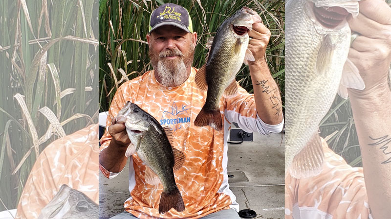 Waccamaw River bass