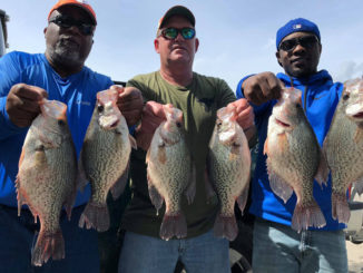 Lake Wateree crappie