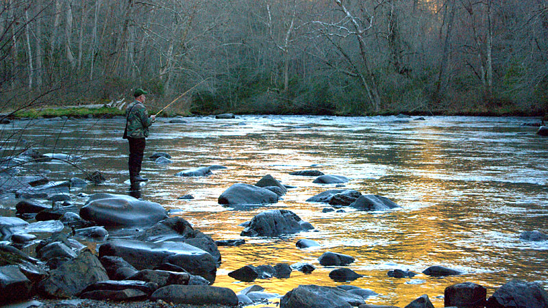 trout fishing