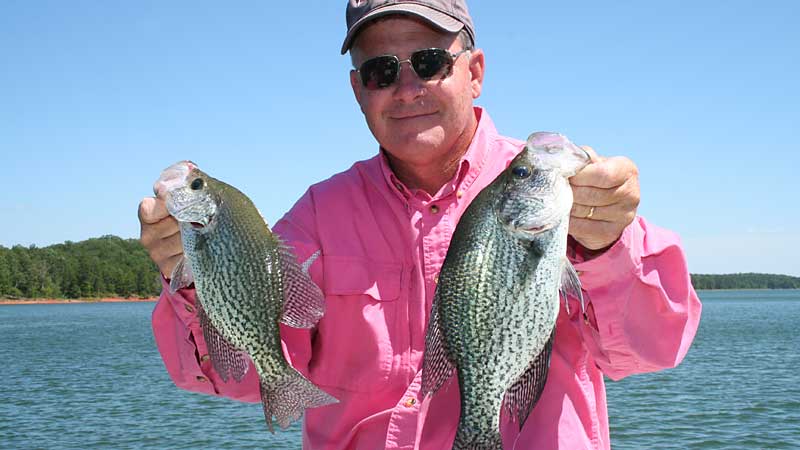 crappie