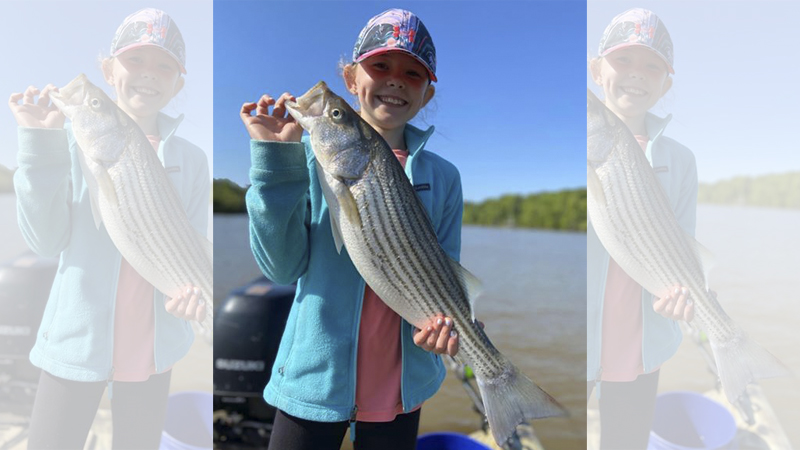 Catawba River chain