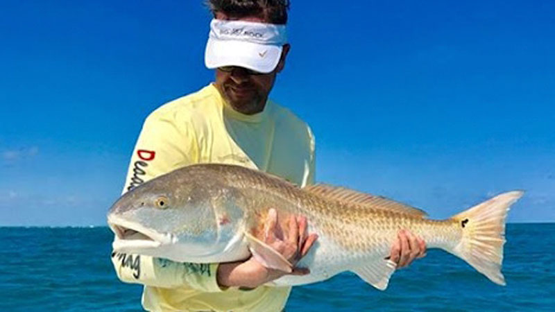 bull reds
