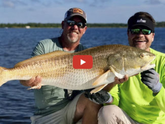 bull redfish on popping corks