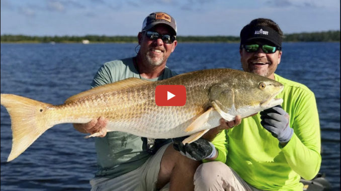 bull redfish on popping corks