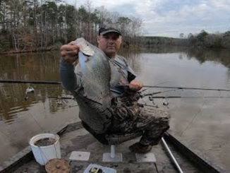 Lake Murray crappie