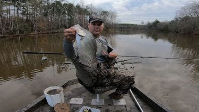 Lake Murray crappie