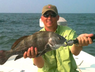 black drum
