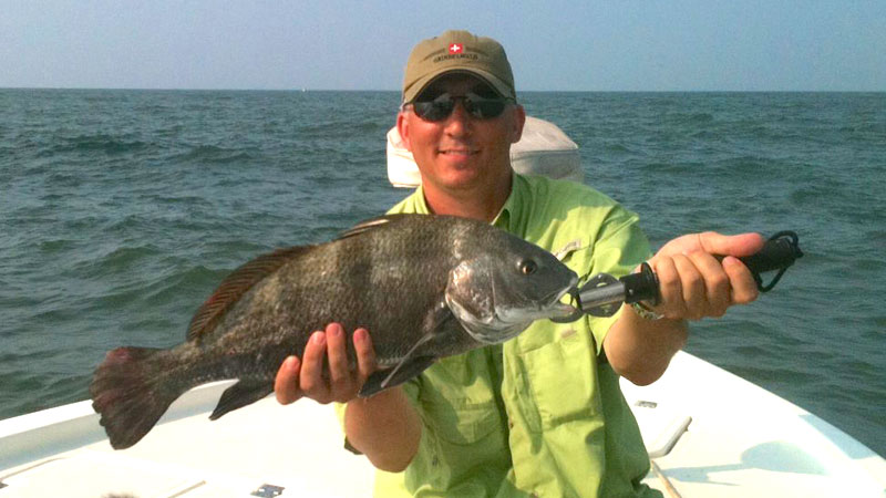 black drum
