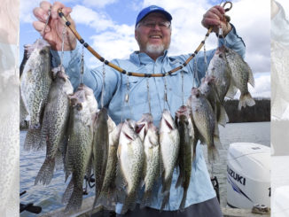 crappie