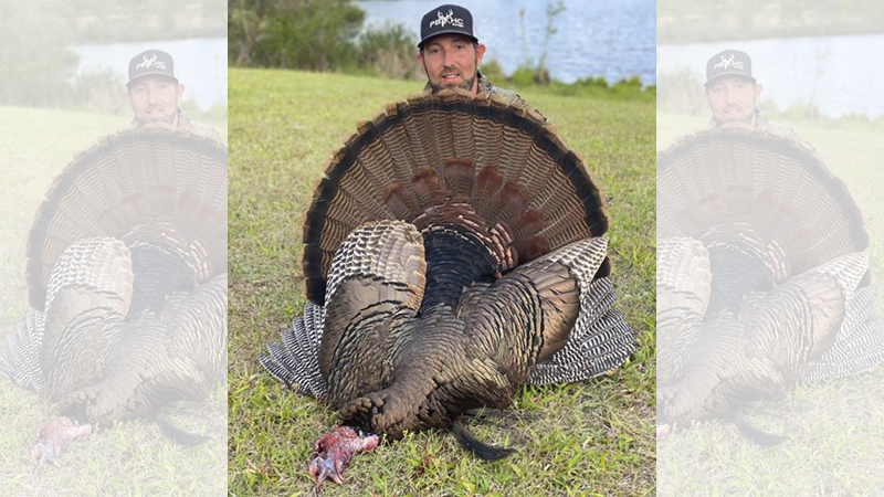 three-bearded gobbler