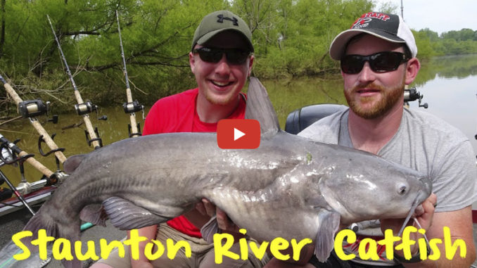 Kerr Lake catfish