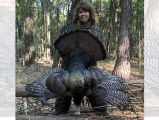 double-bearded gobbler