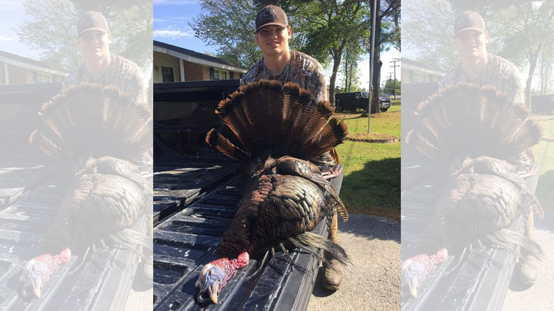 five-bearded gobbler