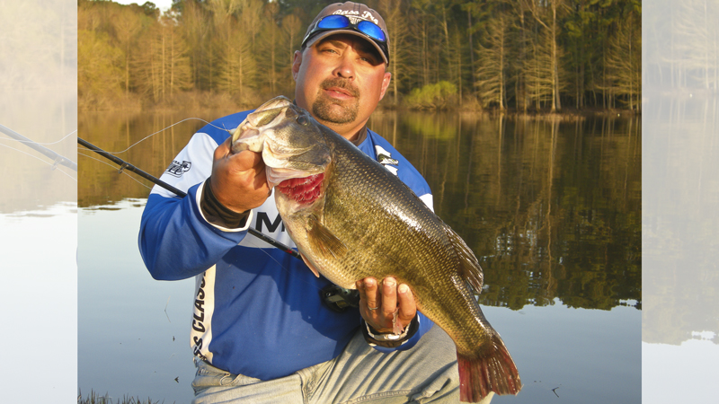 bass