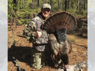 triple-bearded gobblers