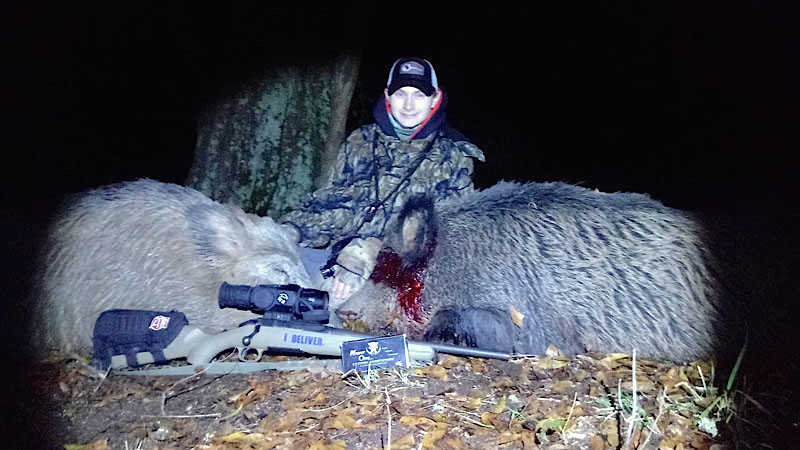 night hunting