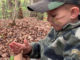 pretend turkey hunt