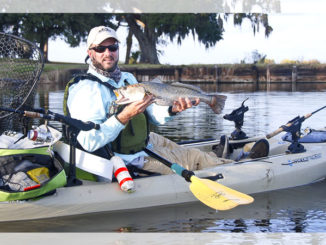 speckled trout