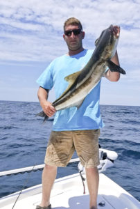 cobia