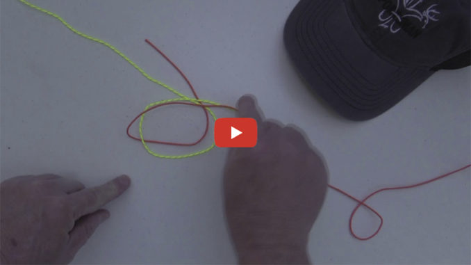 surgeon's knot