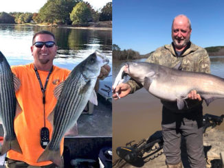 Lake Wateree catfish and stripers