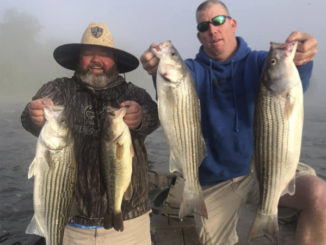 Wateree River stripers